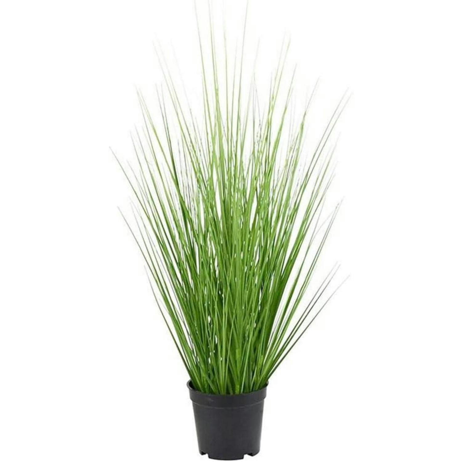 KÜNSTLICHES Gras 60 cm Grün - Grün, Kunststoff (40cm)