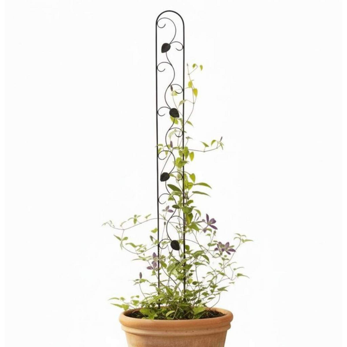 DANDIBO Rankhilfe Metall Rankgitter 140 cm Schwarz Rankstab Kletterhilfe Bodenstecker 96249 Blumenhalter Ranksäule - Schwarz, Metall (11.5/146/1.5cm) - DanDiBo