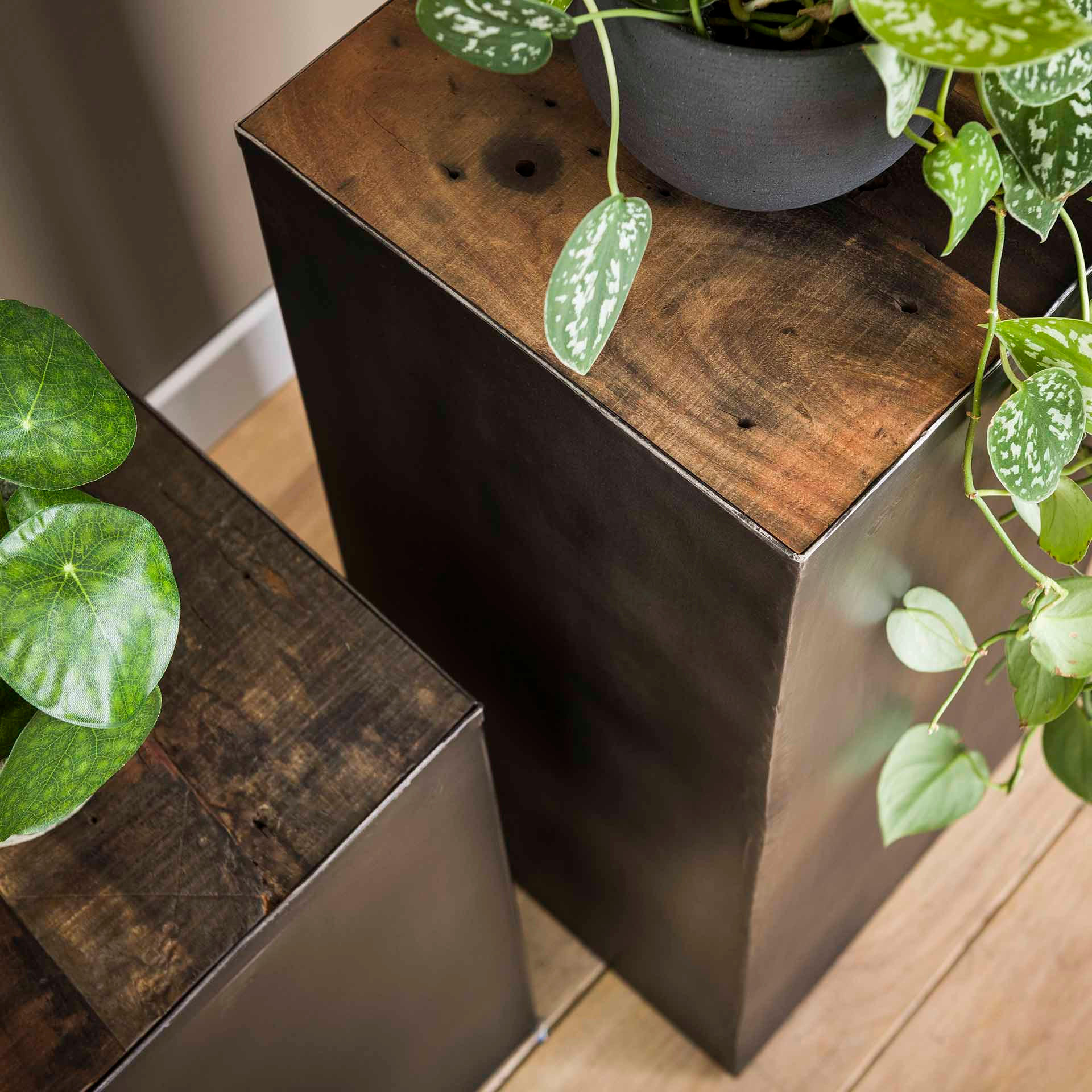 Thumbnail - Hoyz Collection Blumensäule, Schwarz, Holz, 30x50x30 cm, CE, Wohnzimmer, Wohnzimmertische, Blumenständer