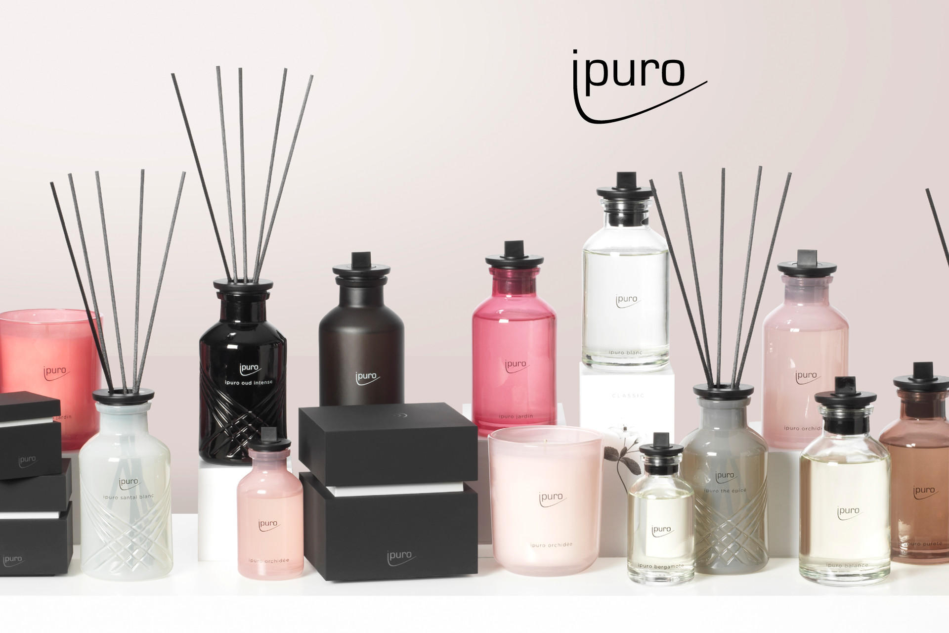 EXCLUSIVE ipuro santal blanc Raumduft – IPURO