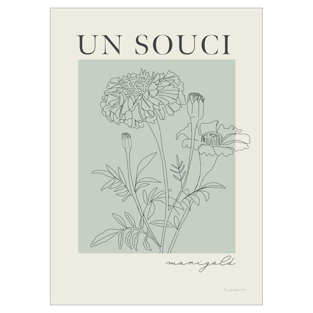 POSTER Wild Apple - French Flower Poster II - Grün, Papier (30/40/0.1cm) - Poster&Frame
