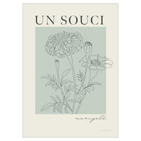 POSTER Wild Apple - French Flower Poster II - Grün, Papier (50/70/0.1cm) - Poster&Frame