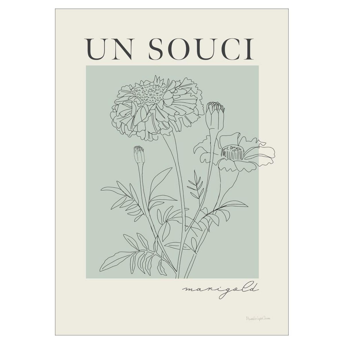 POSTER Wild Apple - French Flower Poster II - Grün, Papier (50/70/0.1cm) - Poster&Frame
