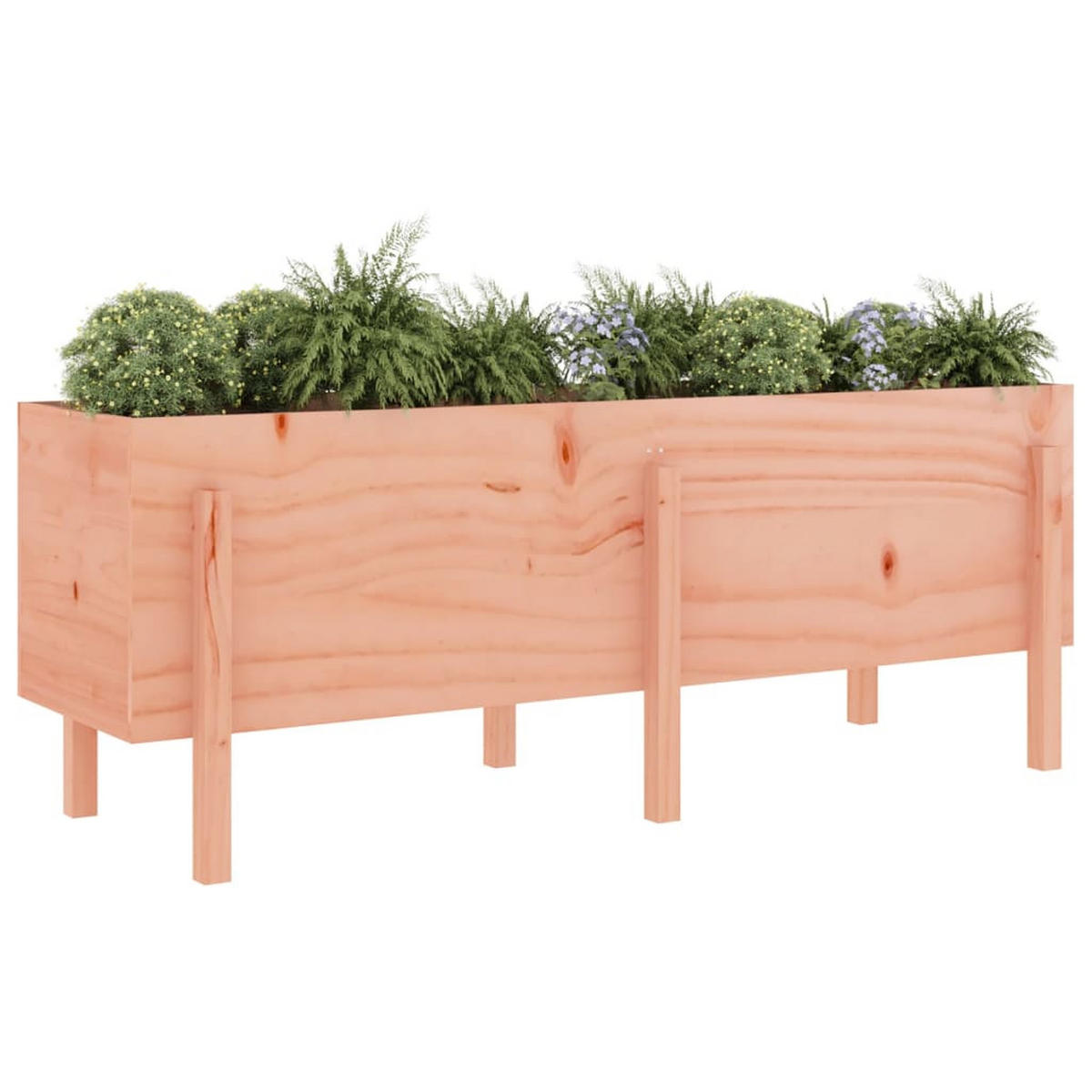 HOCHBEET 160x50x57 cm Massivholz Douglasie - Braun, Holz (50/57/160cm) - furnicato