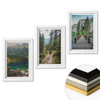 WANDBILDER 3er-Set - 20x30 cm Weißer Rahmen - Berge, Seen, Wälder, Wege - Weiß, Kunststoff (20/30cm) - ArtPrintCave