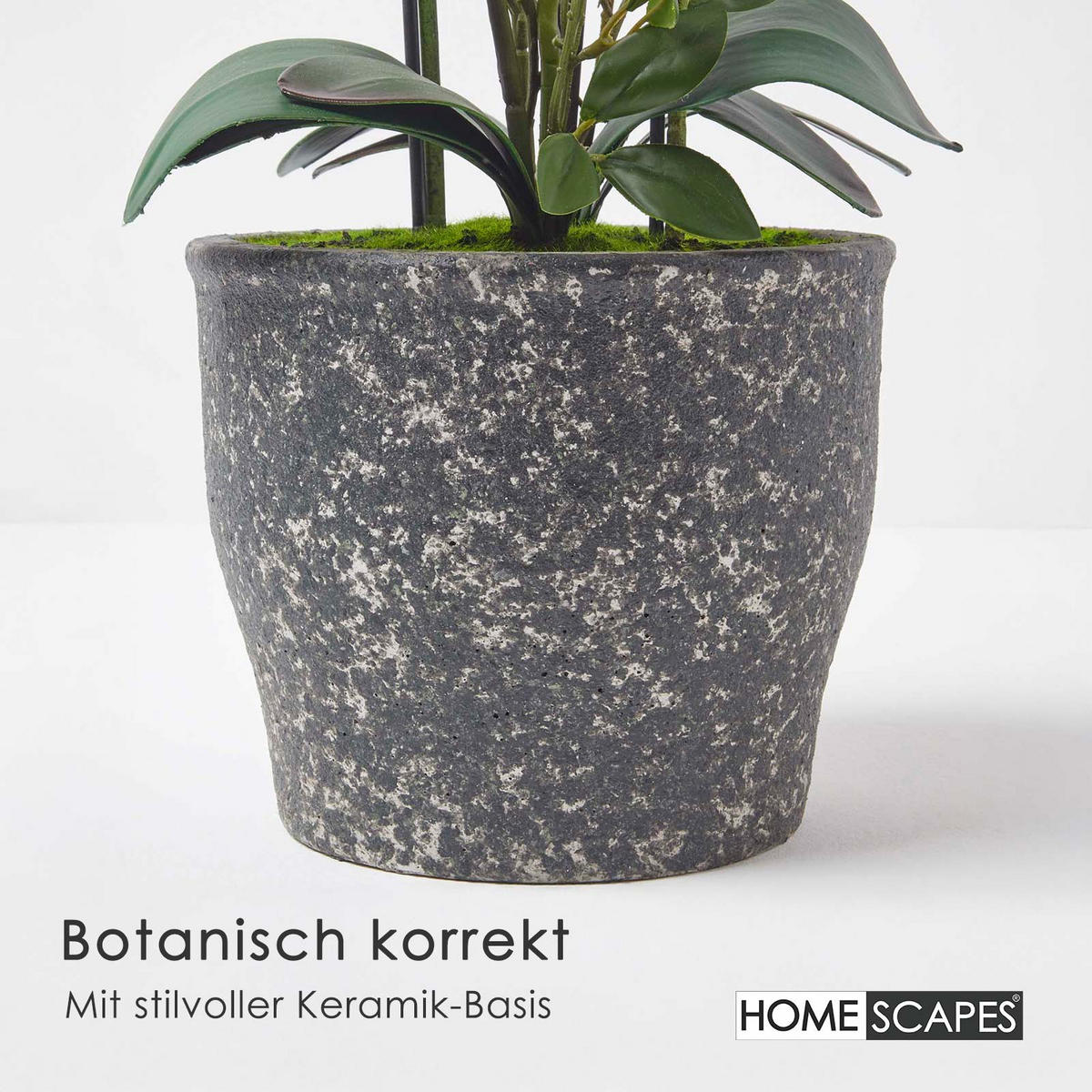 KUNSTBLUME Orchidee weiß im Deko-Topf, 82 cm - Weiß, Kunststoff (82cm) - Homescapes