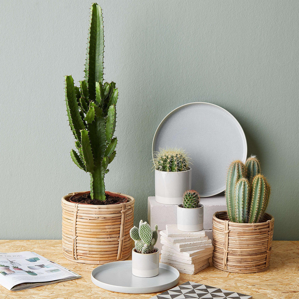 BLUMENTOPF (6er Set) Early Spring - Grau, Keramik (10cm) - BUTLERS