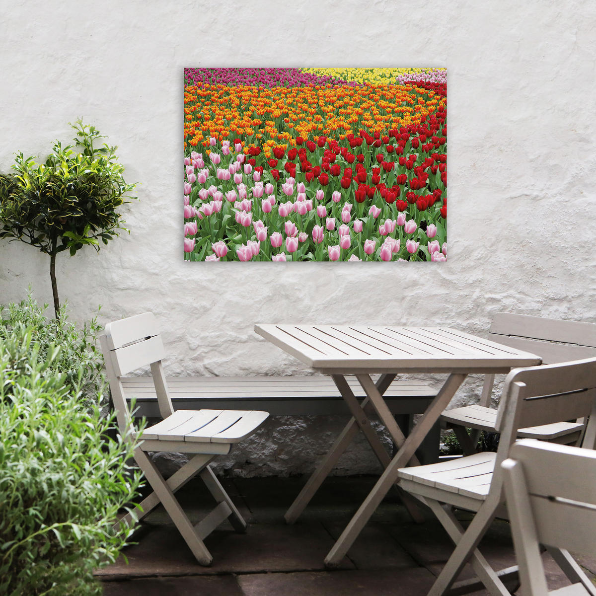 LEINWANDBILD Niederländisches Tulpenfeld 50x70cm - Multicolor, Textil (50/1cm) - Art for the Home