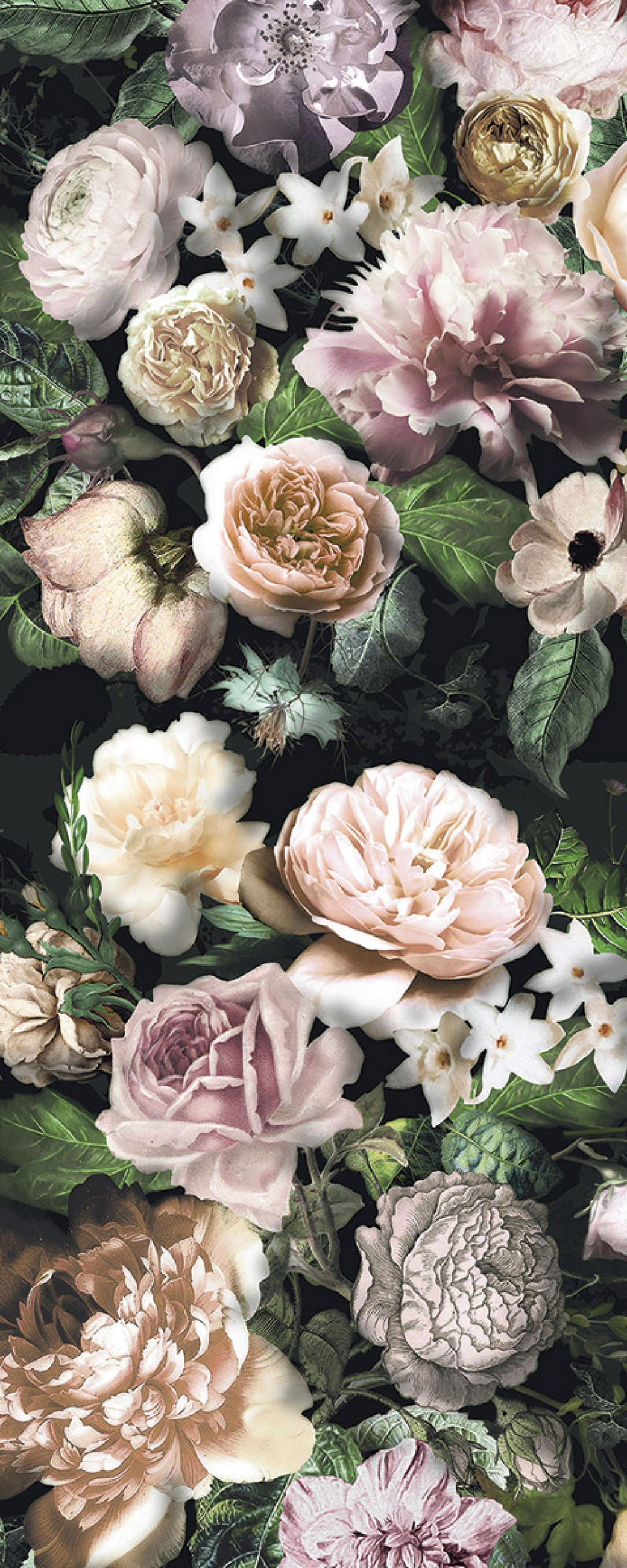FOTOTAPETE Blumentafel 100 x 250 cm - Pink, Papier (100/250cm) - Sanders & Sanders