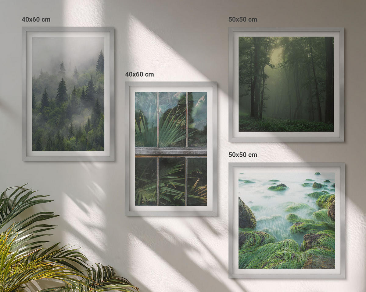 BILDER SET 4er Set - 50x50 cm & 40x60 cm Silberner Rahmen - Waldnebel, Fluss, Gewächshauspflanzen - Silberfarben, Kunststoff (50/50cm) - TULUP