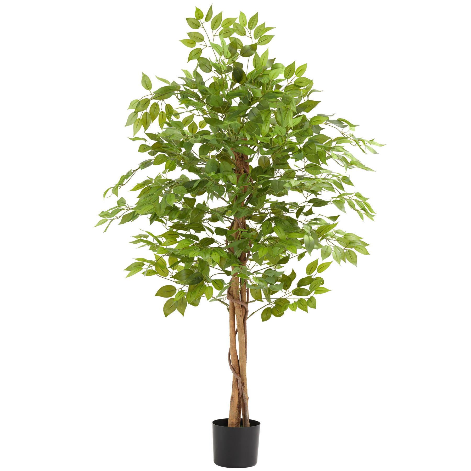 KÜNSTLICHER-FICUSBAUM Fida,stabiler Kunststoff-Blumentopf,grün - Grün, Kunststoff (160cm) - tectake