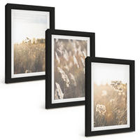 BILDER SET 3er Set - 20x30 cm Schwarzer Rahmen - Landschaftsgrasblumen Wärme - Schwarz, Kunststoff (20/30cm) - TULUP