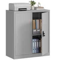 AKTENSCHRANK Grau 80.0/40.0/92.5 cm - Grau, Metall (40/92.5/80cm)