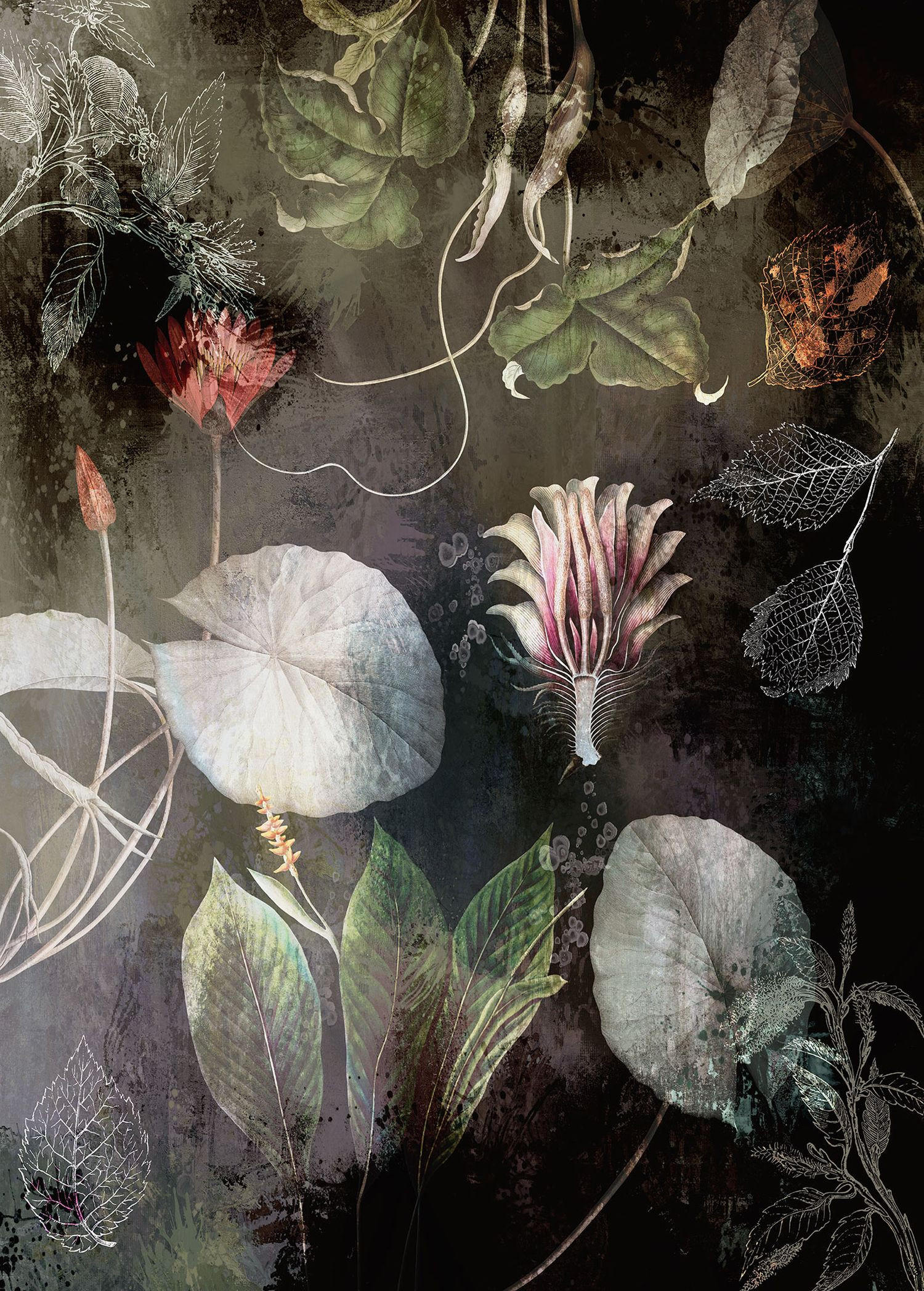 FOTOTAPETE romantischen Blumen 200 x 280 cm - Multicolor, Papier (200/280cm) - Sanders & Sanders