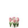 BLUMENTOPF TULPE Weiß - Rosa, Keramik (16/13cm) - J-Line