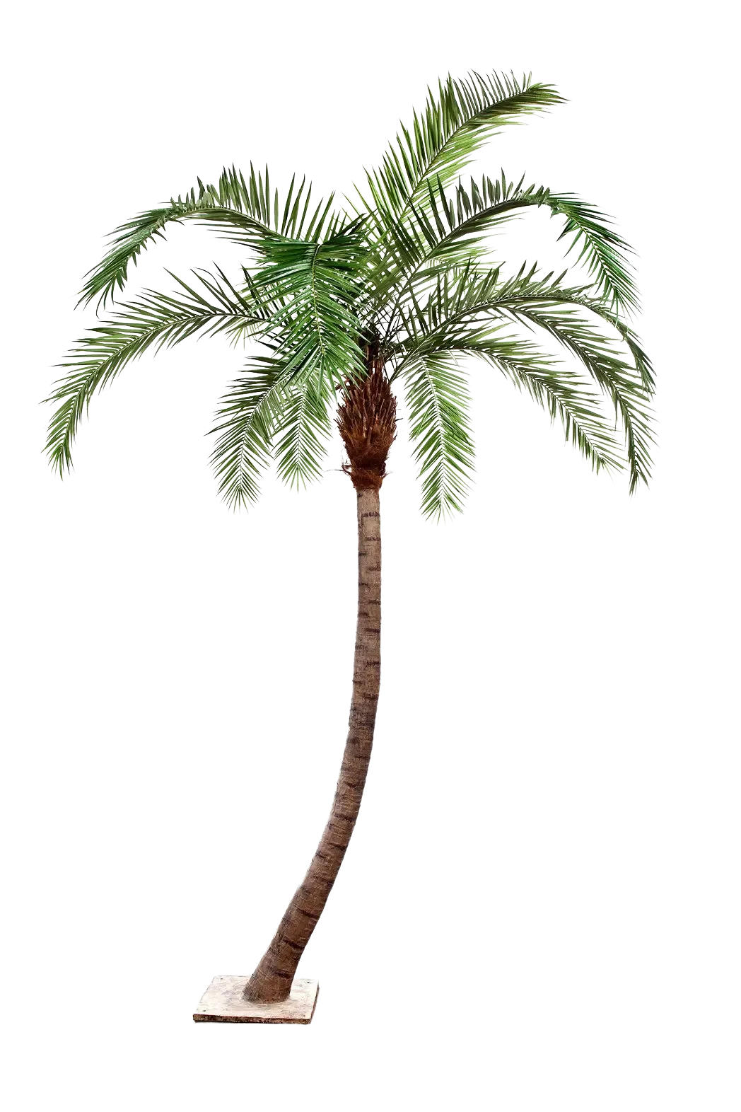 KUNSTBAUM Künstliche Phoenixpalme - Simon 390 cm - Grün, Kunststoff (390cm) - aplanta