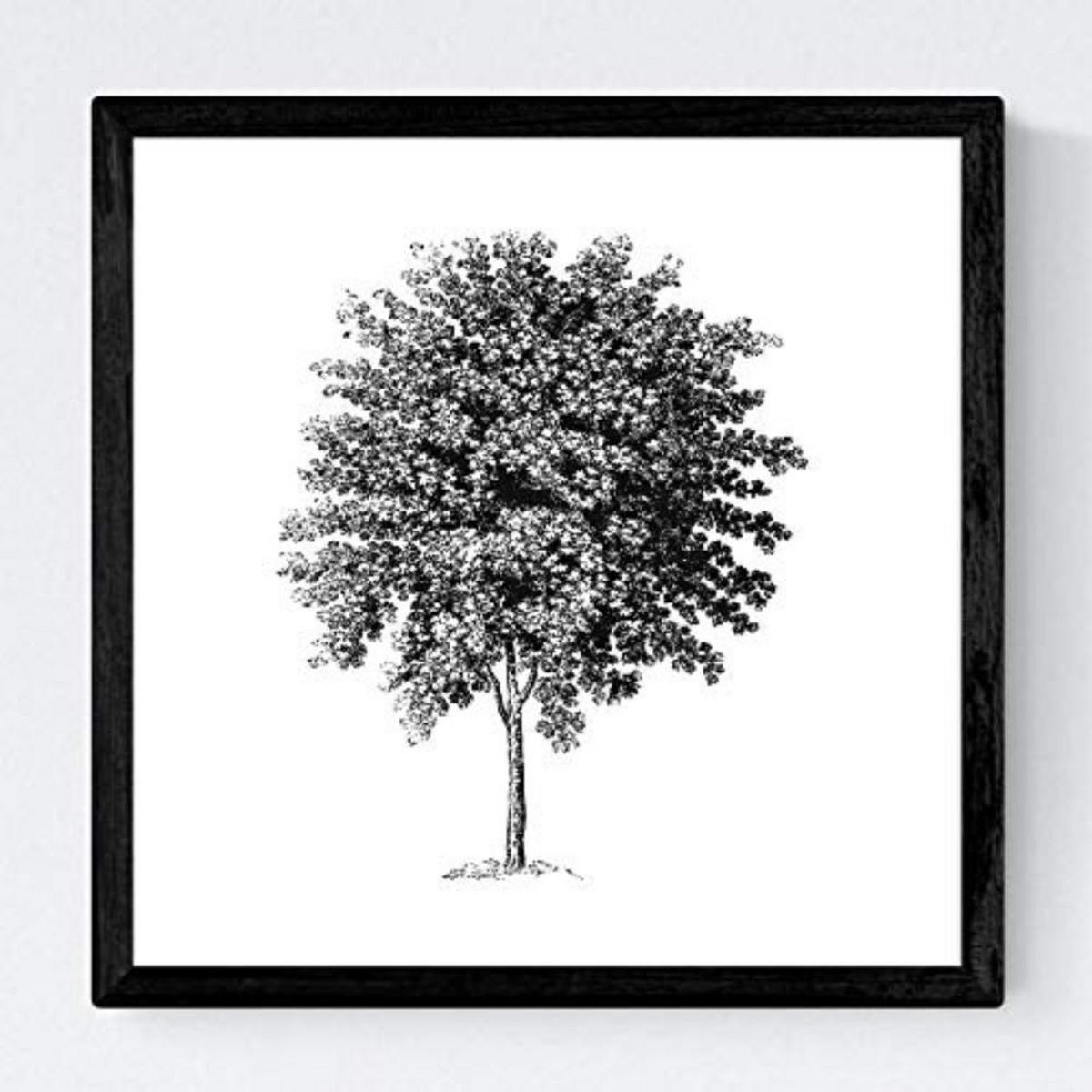 POSTER Set mit 4 Blättern der mittlere dünne Bäume Stamm weiß 20x20cm Schwarzer Rahmen - Schwarz, Papier (20/3cm) - Nacnic