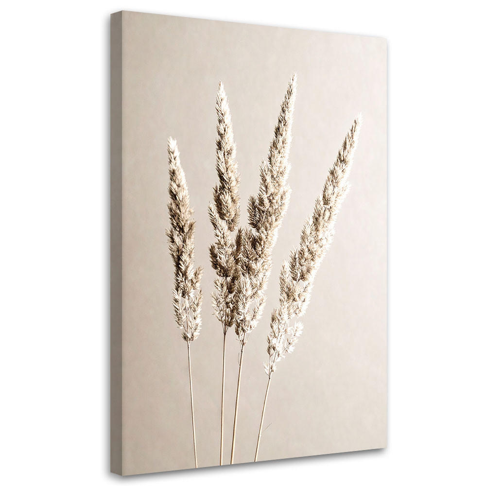 LEINWANDBILD Pampasgras Pflanzen beige 80x120cm - Beige, Textil (80/120cm) - Feeby