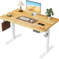 SCHREIBTISCH höhenverstellbar 120 x 60 cm Hellbraun - Braun, Holz (120/60/75cm)