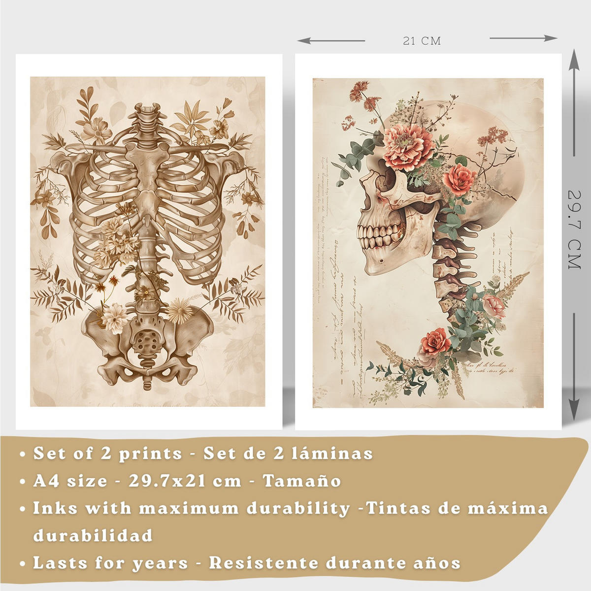 POSTER Set aus 2 Anatomie Mensch Drucke und Wandbilder mit Skelett Schädel Wirbelsäule Rippen Becken Klassischer Stil Größe Rahmenlos A4 - Klar, Papier (21/29.7/3cm) - Nacnic