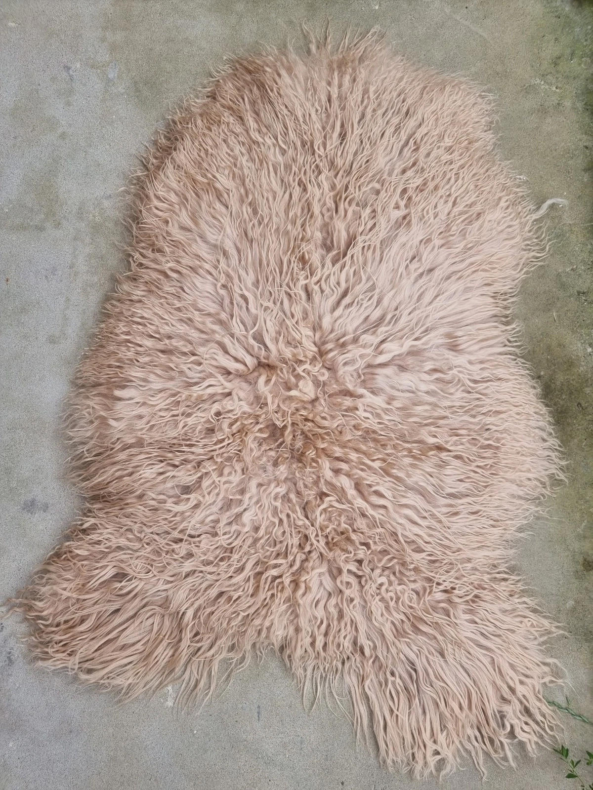 LAMMFELL Island Langhaar natur lockig weich Premium Cappuccino ca. 115 cm - Cappuccino, Fell (65/115cm) - Provellus