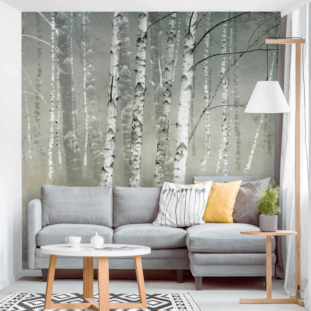 FOTOTAPETE Ruhender Birkenwald 288/288 cm - Grau, Papier (288/288cm) - Bilderwelten