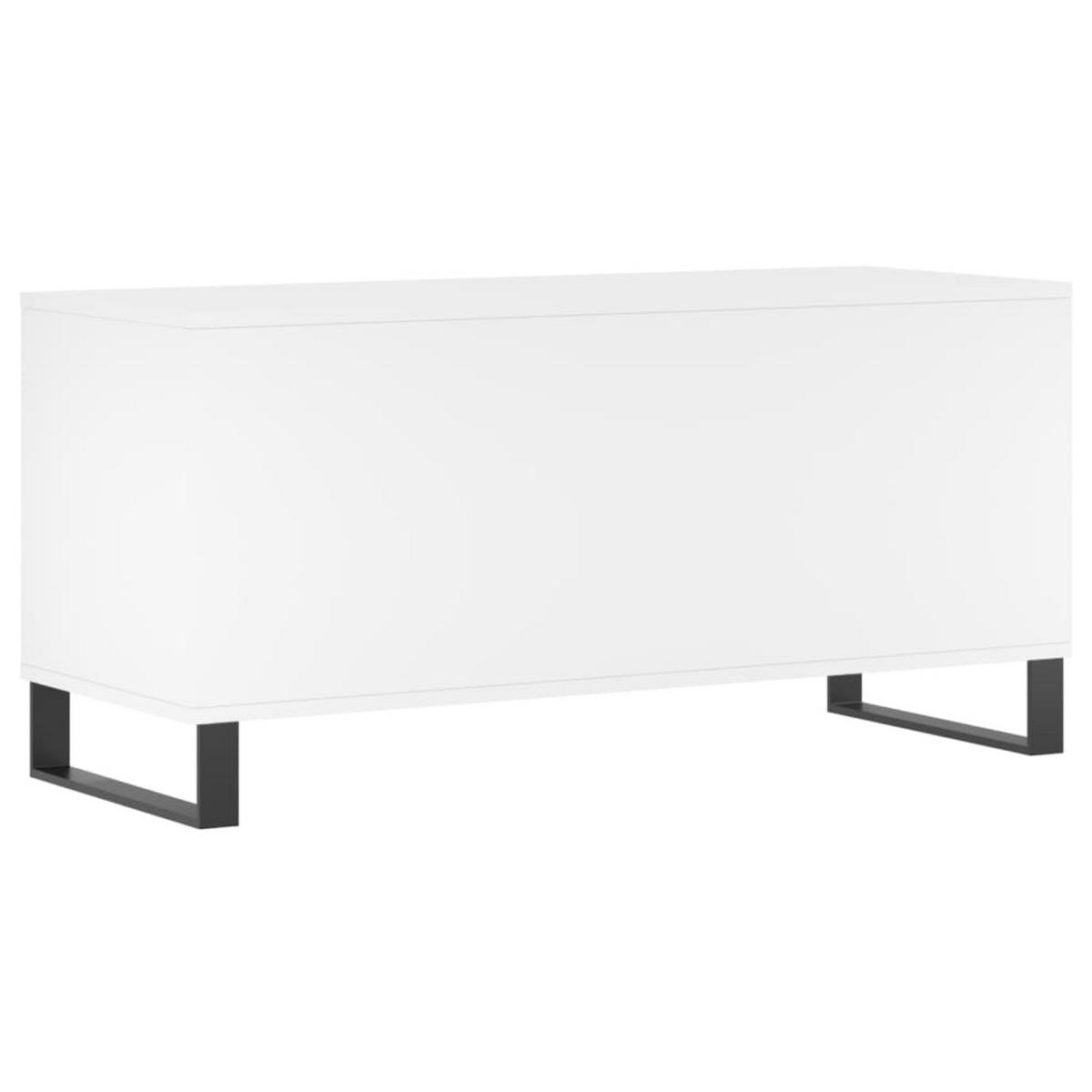 PLATTENSCHRANK Weiss 100/38/48 Cm Holzwerkstoff - Weiß, Holzwerkstoff (38/48/100cm) - vidaXL