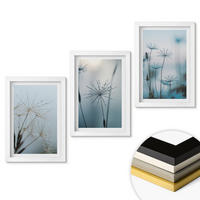 WANDBILDER 3er-Set - 20x30 cm Weißer Rahmen - Löwenzahn mit Wassertropfen - Weiß, Kunststoff (20/30cm) - ArtPrintCave