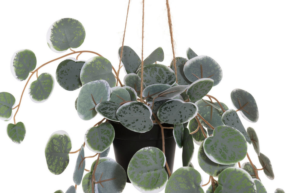 HÄNGEPFLANZE Künstlich 40 cm - Grün, Kunststoff (40cm)