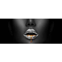 GLASBILD 125x50 cm Lippen schwarz gold - Silberfarben, Glas (125/50cm) - artissimo