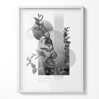 BILDERRAHMEN - Weiß, Kunststoff (60/80/1.5cm) - Wallfluent