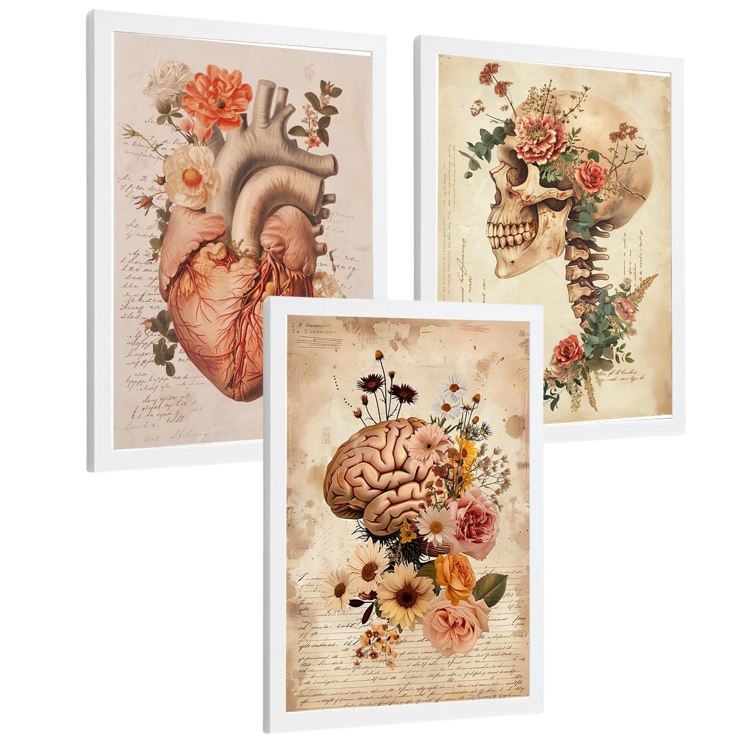 POSTER Set aus 3 Anatomie Mensch Drucke und Wandbilder mit Herz Gehirn und Schädel Vintage Floraler Stil Wanddekoration Größe Weißer Rahmen A3 - Weiß, Papier (29.7/42/3cm) - Nacnic