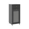 MIDISCHRANK Malte Grau 40 x 96 cm - Grau, Holzwerkstoff (40/96/40cm) - Vicco
