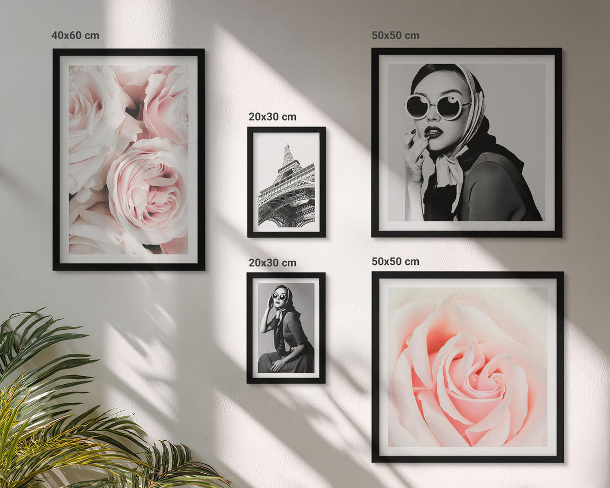 BILDER SET 5er Set - 50x50 cm & 20x30 cm & 40x60 cm Schwarzer Rahmen - Blumen, Pfingstrosen, Rosen, Eleganz - Schwarz, Kunststoff (40/60cm) - TULUP