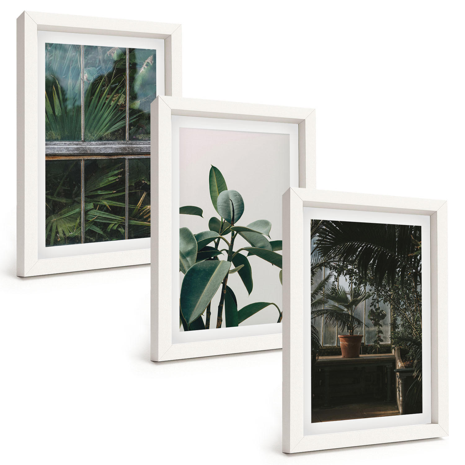 BILDER SET 3er Set - 20x30 cm Weißer Rahmen - Grüne Blätter an der Fensterpflanze - Weiß, Kunststoff (20/30cm) - TULUP