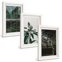 BILDER SET 3er Set - 20x30 cm Weißer Rahmen - Grüne Blätter an der Fensterpflanze - Weiß, Kunststoff (20/30cm) - TULUP