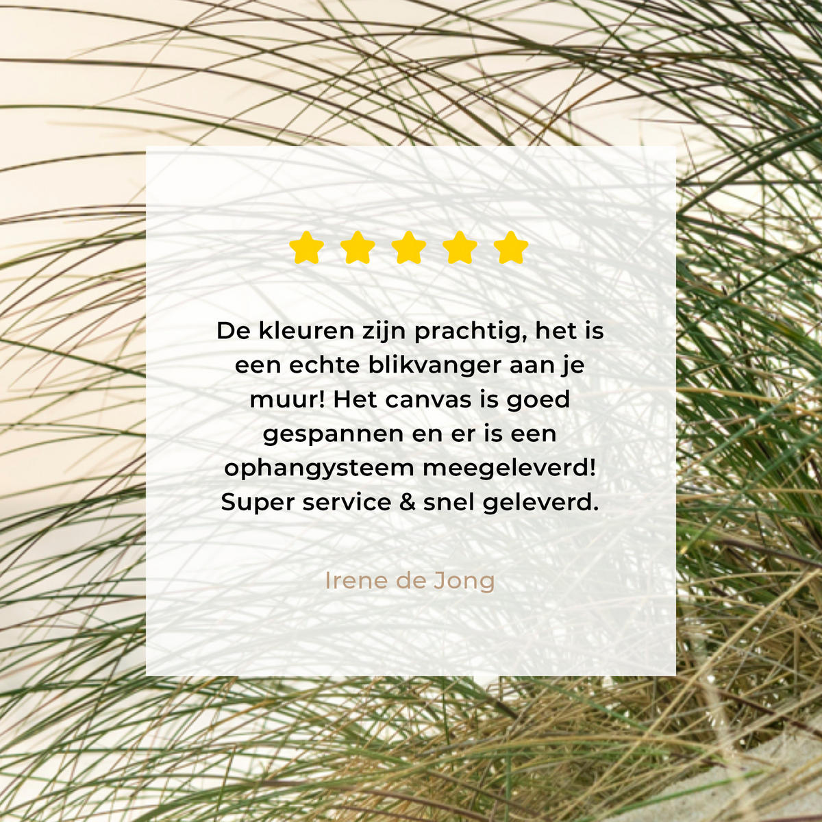 LEINWANDBILD Dünen mit Strandhafer in der Sonne des Nationalparks Schleswig-Holsteinisches Wattenmeer Deko Wohnzimmer 20x30 cm - Creme, Textil (20/30cm) - MuchoWow