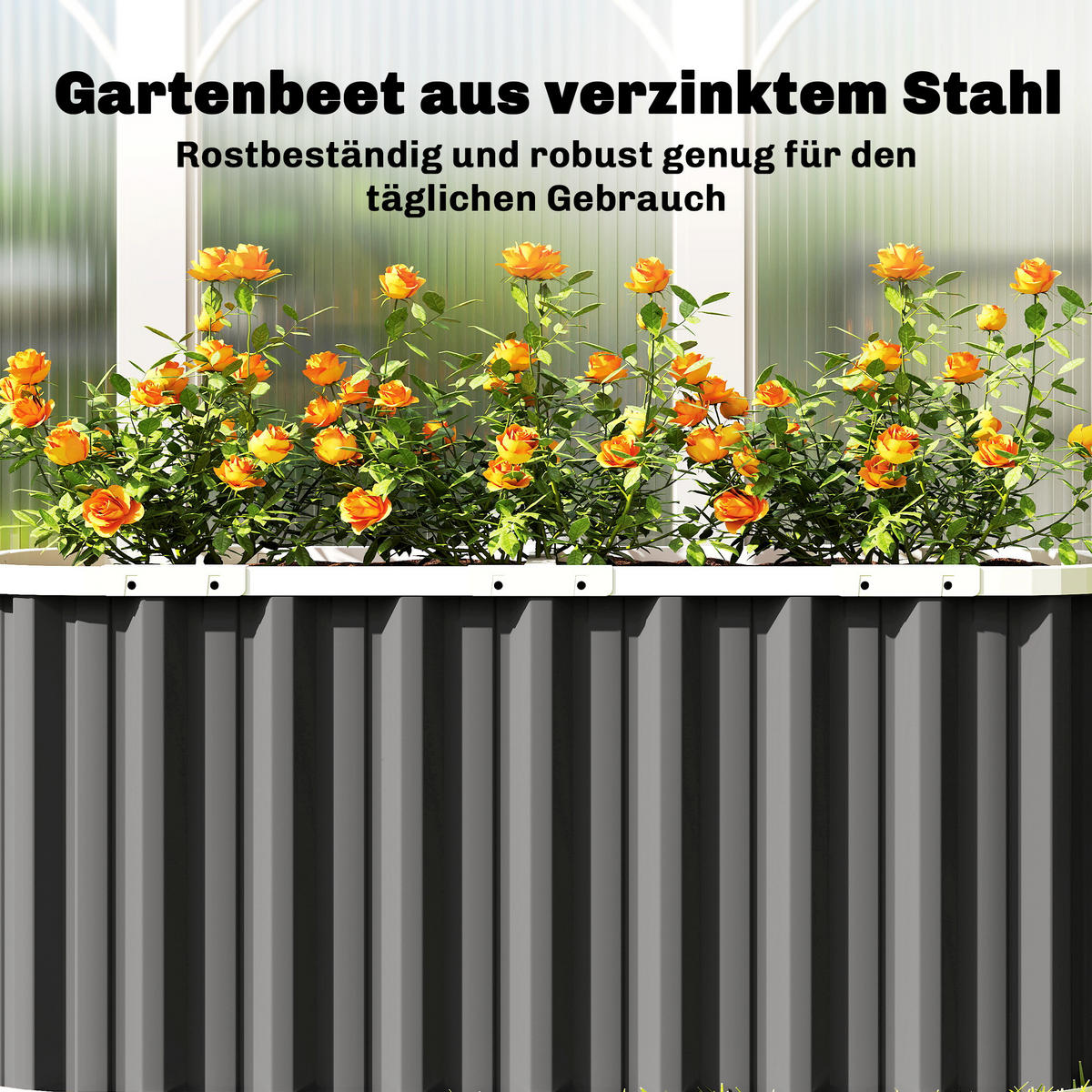 HOCHBEET mit Schutzkanten & offenem Boden Dunkelgrau - Dunkelgrau, Metall (53/61/136cm) - Outsunny