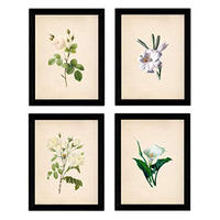 POSTER Set mit 4 Botanische Papier Hintergrund helle Blumen A4 Rahmenlos - Klar, Papier (29.7/3cm) - Nacnic