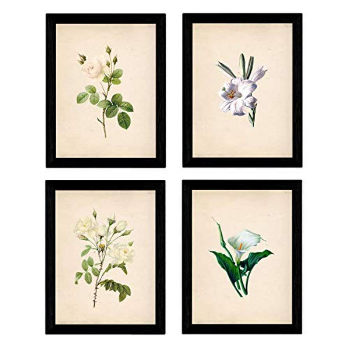 POSTER Set mit 4 Botanische Papier Hintergrund helle Blumen A4 Rahmenlos - Klar, Papier (29.7/3cm) - Nacnic
