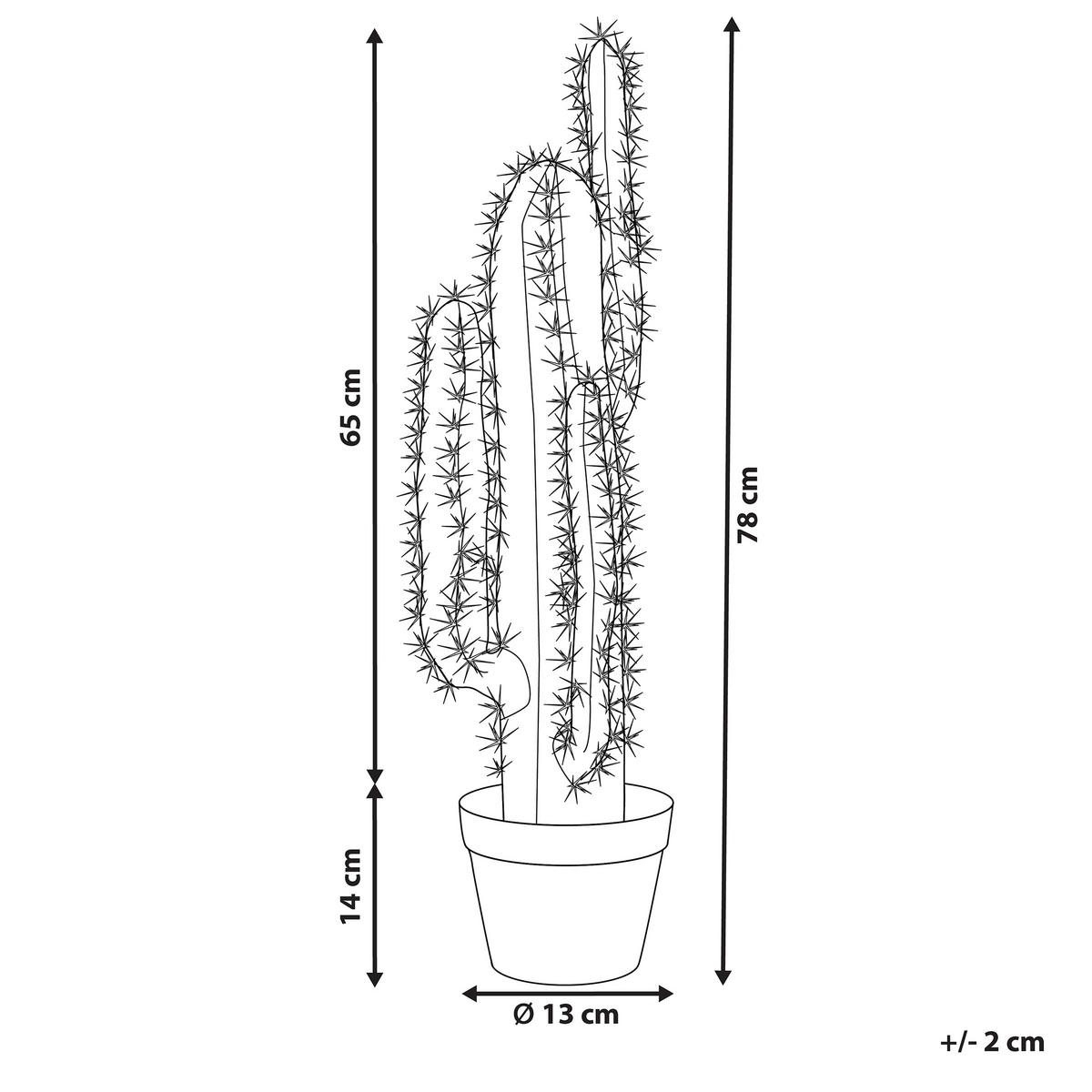 KUNSTPFLANZE Grün Cactus - Schwarz/Grün, Kunststoff (78cm) - Beliani