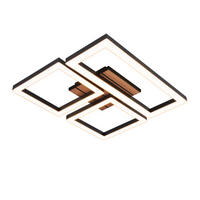 LED stropní svítidlo 37,5/31,5/5,5 cm - černá, kov (31.5/37.5/5.5cm) - Nettlife