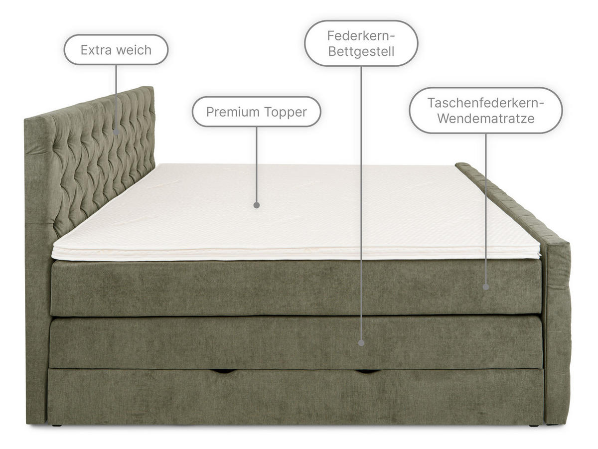 BOXSPRINGBETT London olive 160 /200 cm H3/H4 Samt - Olivgrün, Textil (160/200cm) - wonello