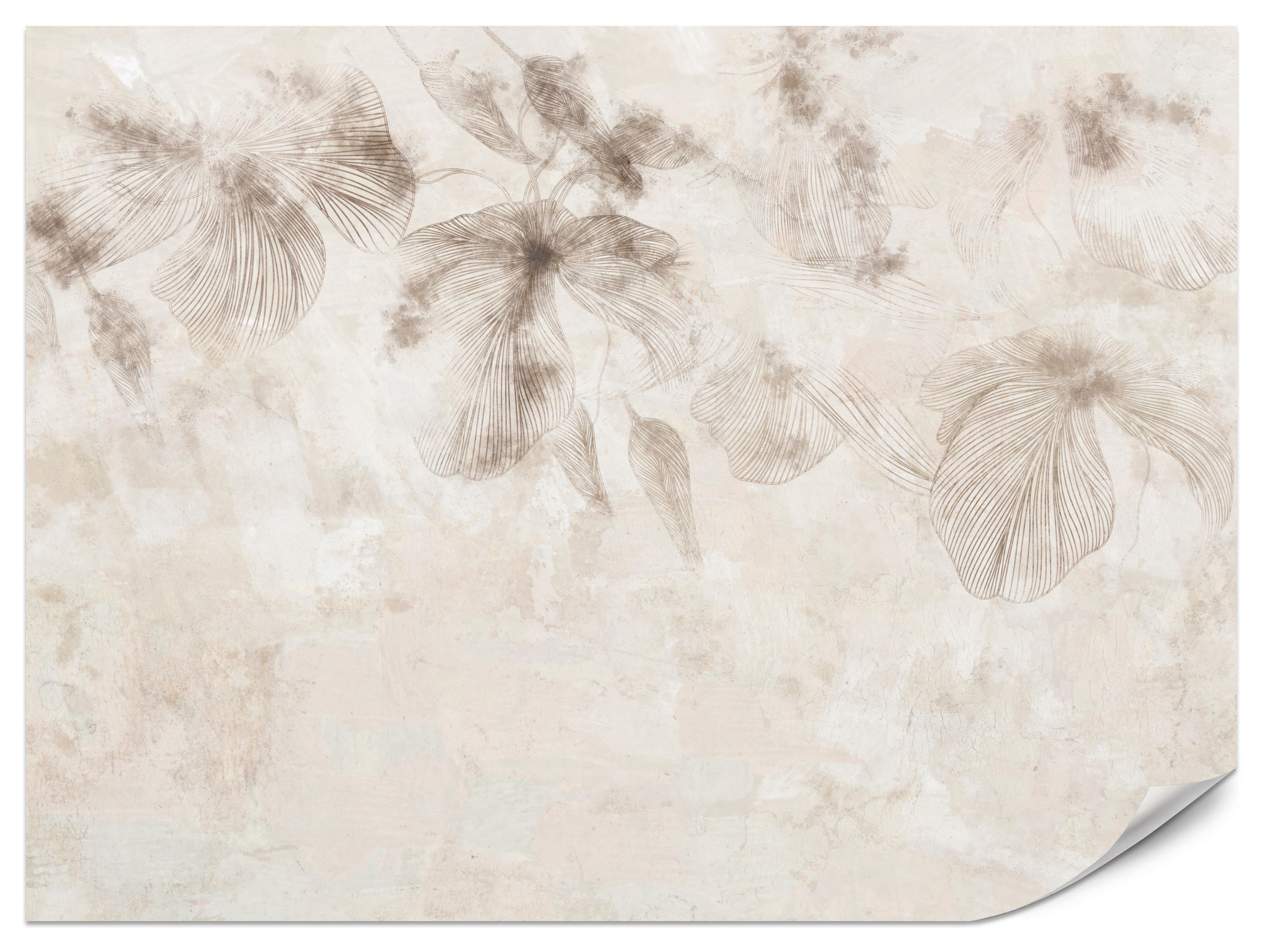 FOTOTAPETE für Wohnzimmer Boho Blumen auf Beton Natur Vintage 250x175 - Beige/Braun, Papier (250/175cm) - Muralo