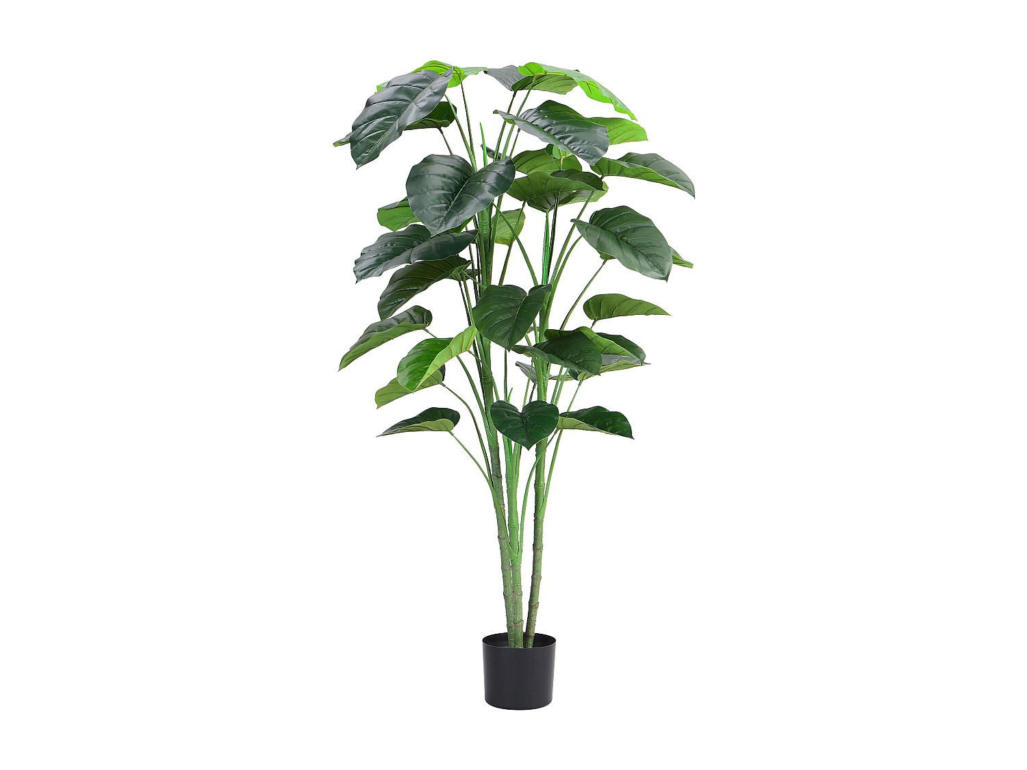 KUNSTPFLANZE - 60 cmcm x 60 cmcm - Plastik, Beton, Zement - Grün - BAJA - Grün, Kunststoff (160cm) - Vente-Unique