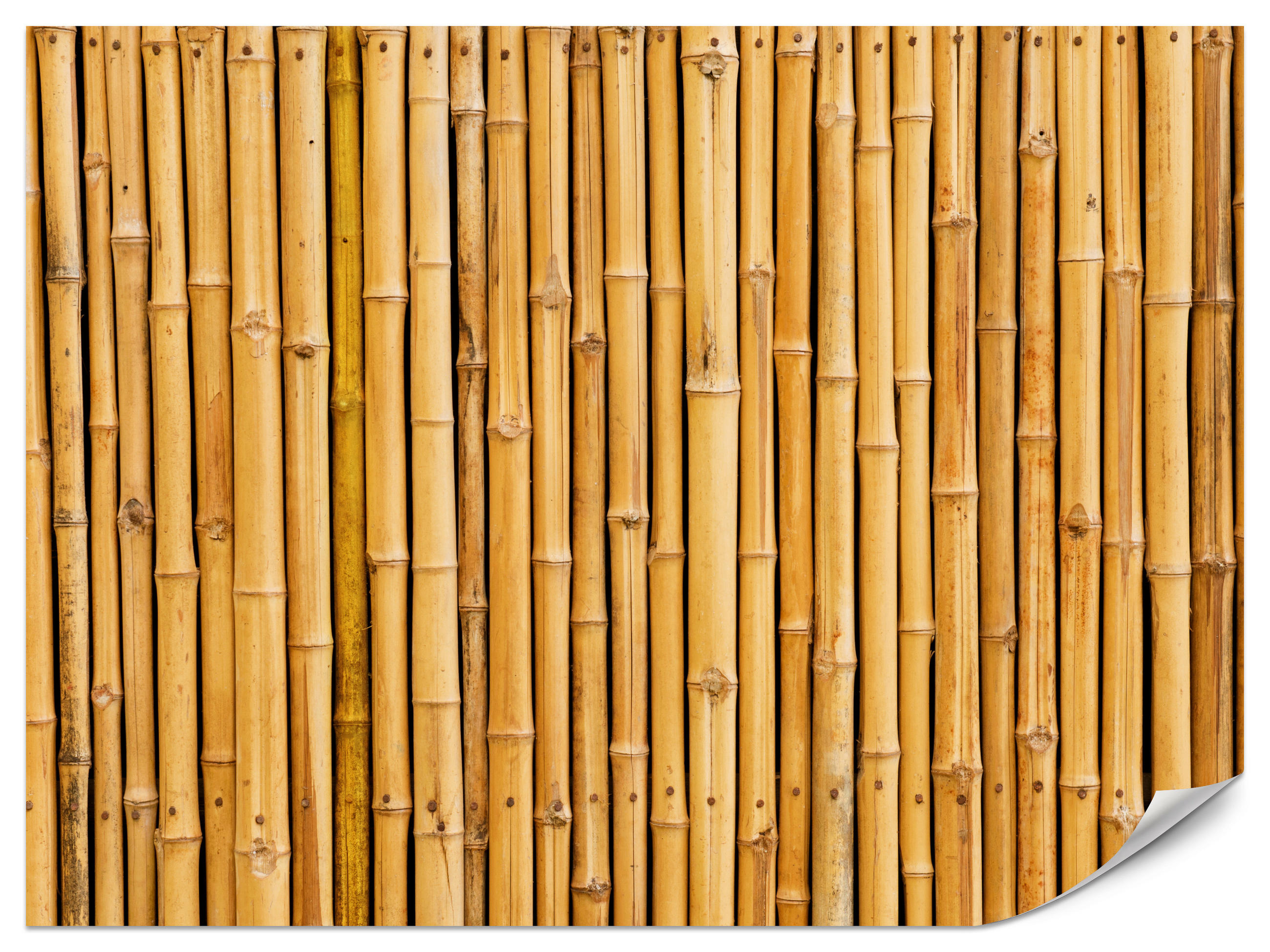 FOTOTAPETA Pre Kuchyňu Bambusová Imitácia Hnedá Stena Rustikálna 250 x 175 cm - oranžová/hnedá, papier (250/175cm) - Muralo