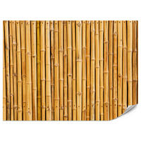 FOTOTAPETA Pre Kuchyňu Bambusová Imitácia Hnedá Stena Rustikálna 250 x 175 cm - oranžová/hnedá, papier (250/175cm) - Muralo