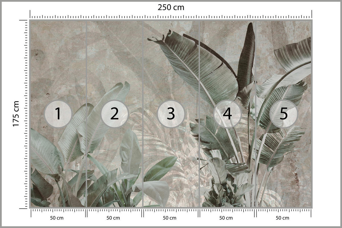 FOTOTAPETE für Büro Beton Bananenblätter Abstrakt Pflanzen Vintage 250x175 - Beige/Braun, Papier (250/175cm) - Muralo