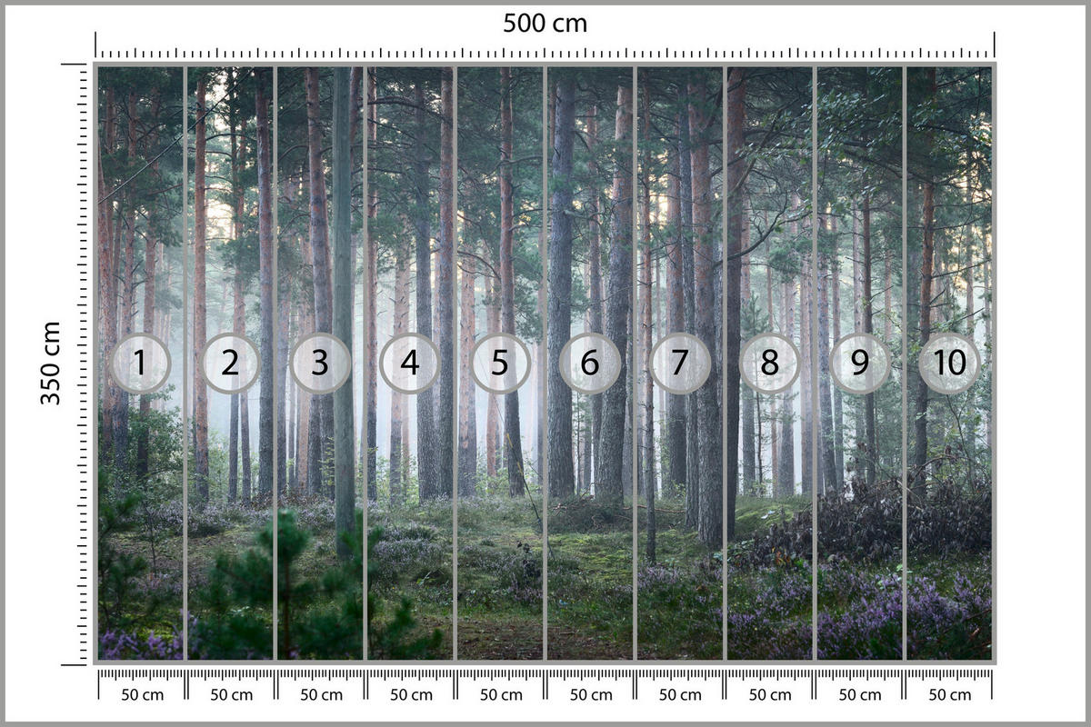 FOTOTAPETE für Wohnzimmer Nebelwald mit Bäumen Moos Grün 500x350 - Grau/Grün, Papier (500/350cm) - Muralo