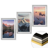 WANDBILDER 3er Set - 40x60 cm Silberner Rahmen - Berglandschaften im Hintergrund - Silberfarben, Kunststoff (40/60cm) - ArtPrintCave